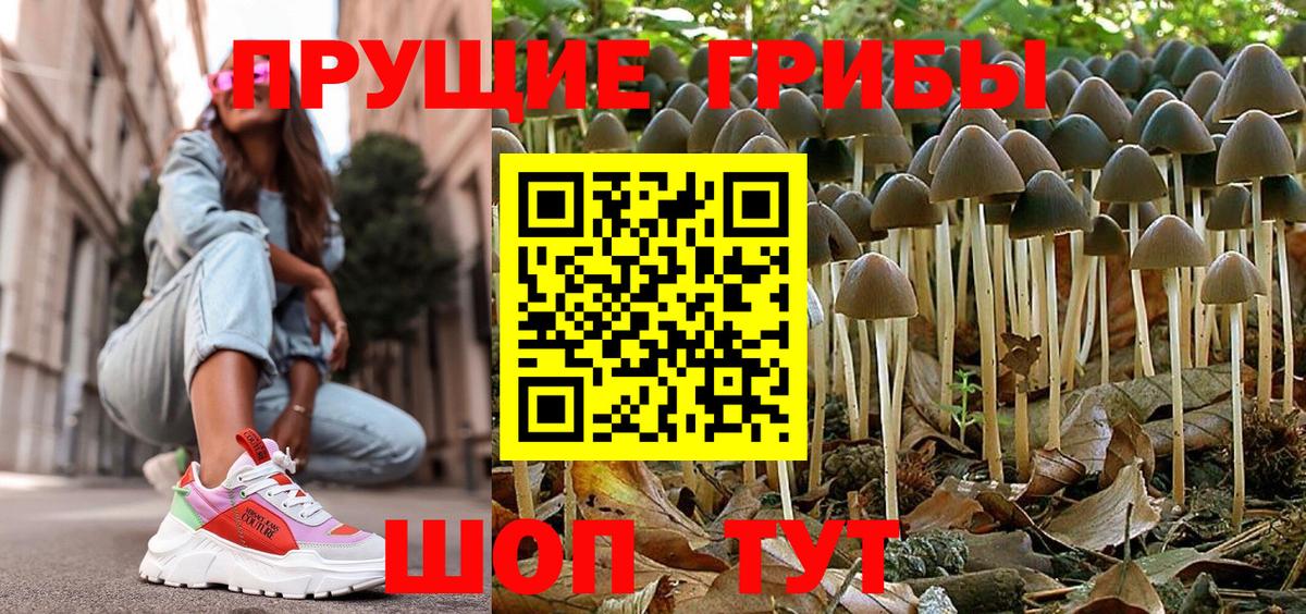 Галлюциногенные грибы Magic Shrooms  Вход с VPN  Биробиджан 