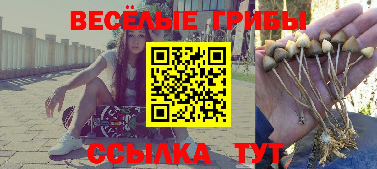Галлюциногенные грибы мухоморы Биробиджан